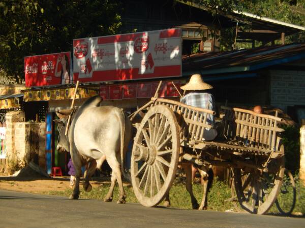 leil.de/di/pics/Ochsenkarren_Myanmar_14.JPG