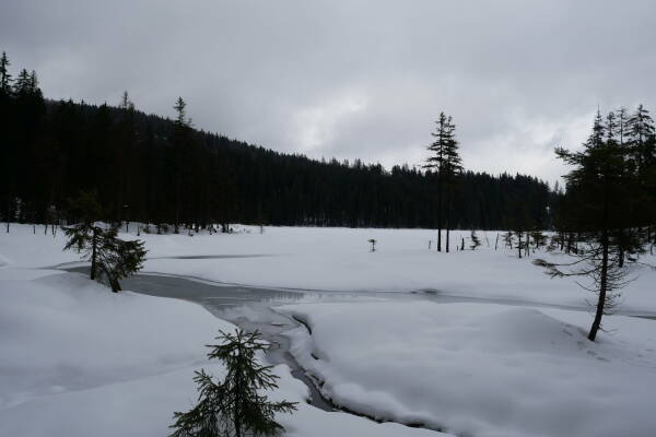 leil.de/di/pics/arbersee_im_winter_21-2.jpg