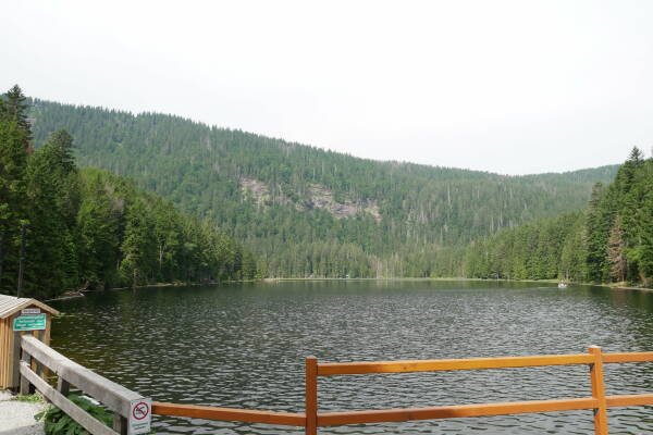 leil.de/di/pics/blick_arbersee_sommer-21.jpg