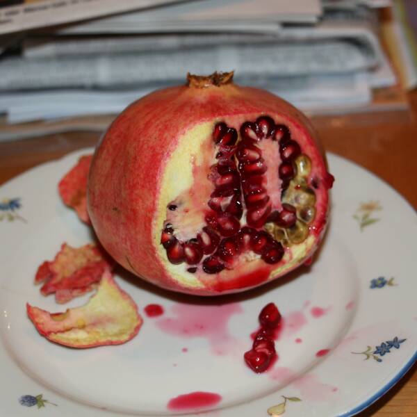 leil.de/di/pics/granatapfel_innen_1.jpg