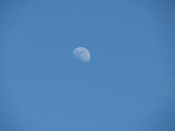 leil.de/di/pics/mond_von_der_erde_aus_2007.jpg