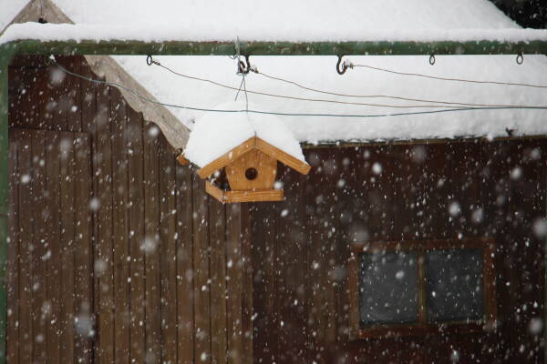 leil.de/di/pics/schneefall_im_garten_17.jpg