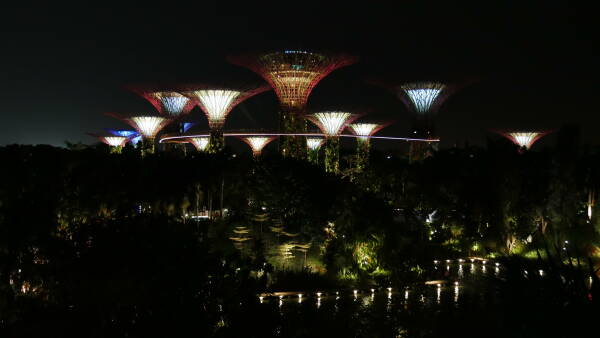 leil.de/di/pics/singapur_supertree_nachts_19_1.jpg