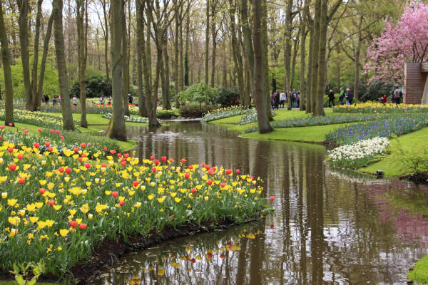 leil.de/di/pics/tulpenbluete_keukenhof_2014,1.jpg