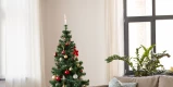 Christbaum/Weihnachtsbaum