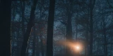 Licht nachts im Wald