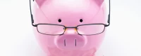 Sparschwein mit Brille