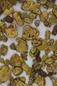 Goldnuggets