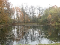 Herbststimmung am See