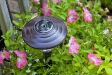 Solarlampen für den Garten