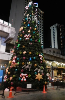 Weihnachtsbaum in Thailand