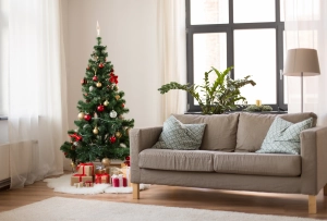 Christbaum/Weihnachtsbaum