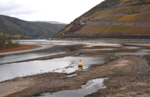 Niedrigwasser Rhein