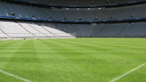 Rasen der Allianz Arena