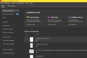 Screenshot vom Adobe Reader