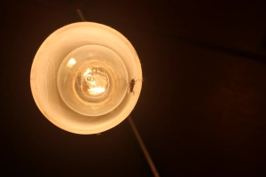 Stubenfliege im Licht