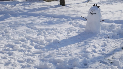 Bild der Tages - Ein dicker Schneemann im Sonnenschein