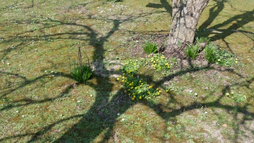 Bild der Tages - Frühling!!!