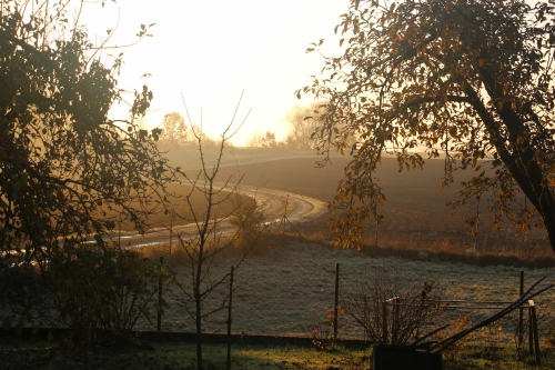 Bild der Tages - Herbstlicher Garten