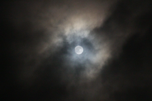 Bild der Tages - Mond in der Nacht