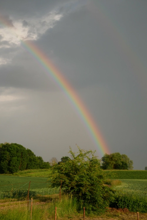 Bild der Tages - Regenbogen