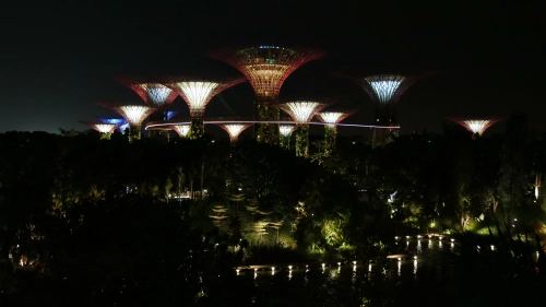 Bild der Tages - Singapur Supertrees bei Nacht
