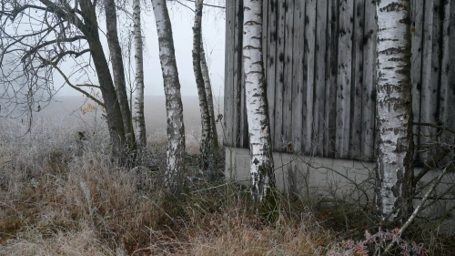 Bild der Tages - Eindrücke vom Spätherbst mit erstem Frost