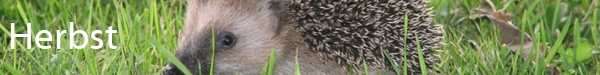 Herbst